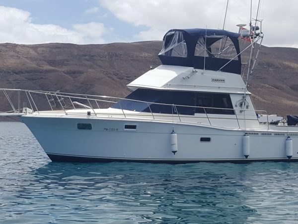 Carver32